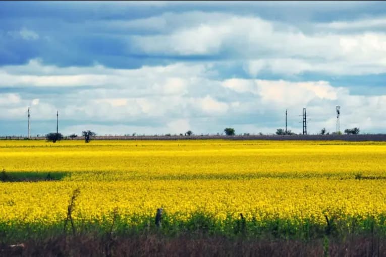 Entre Ríos se encamina a la primavera con lluvias desparejas y fuertes cambios térmicos - imagen de origen