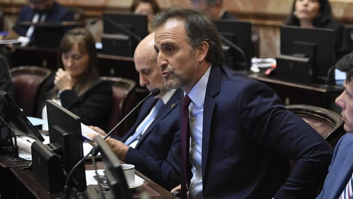 Benegas Lynch se defendió en el recinto - imagen de origen