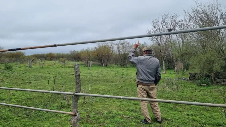 Despojo de tierras a un anciano: “Apelo a que las autoridades den cuenta de la celeridad que necesitamos” | Análisis - imagen de origen
