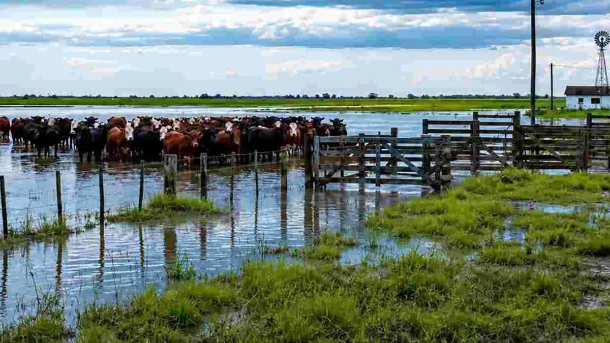 Entre Ríos declaró la Emergencia Hídrica por el fenómeno El Niño - imagen de origen