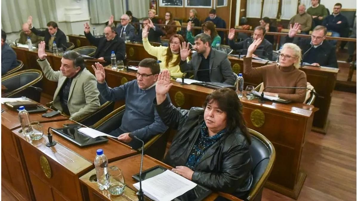Senado debate el alivio fiscal a comercios y el sector reclama ampliar los beneficios para las PyMEs - imagen de origen