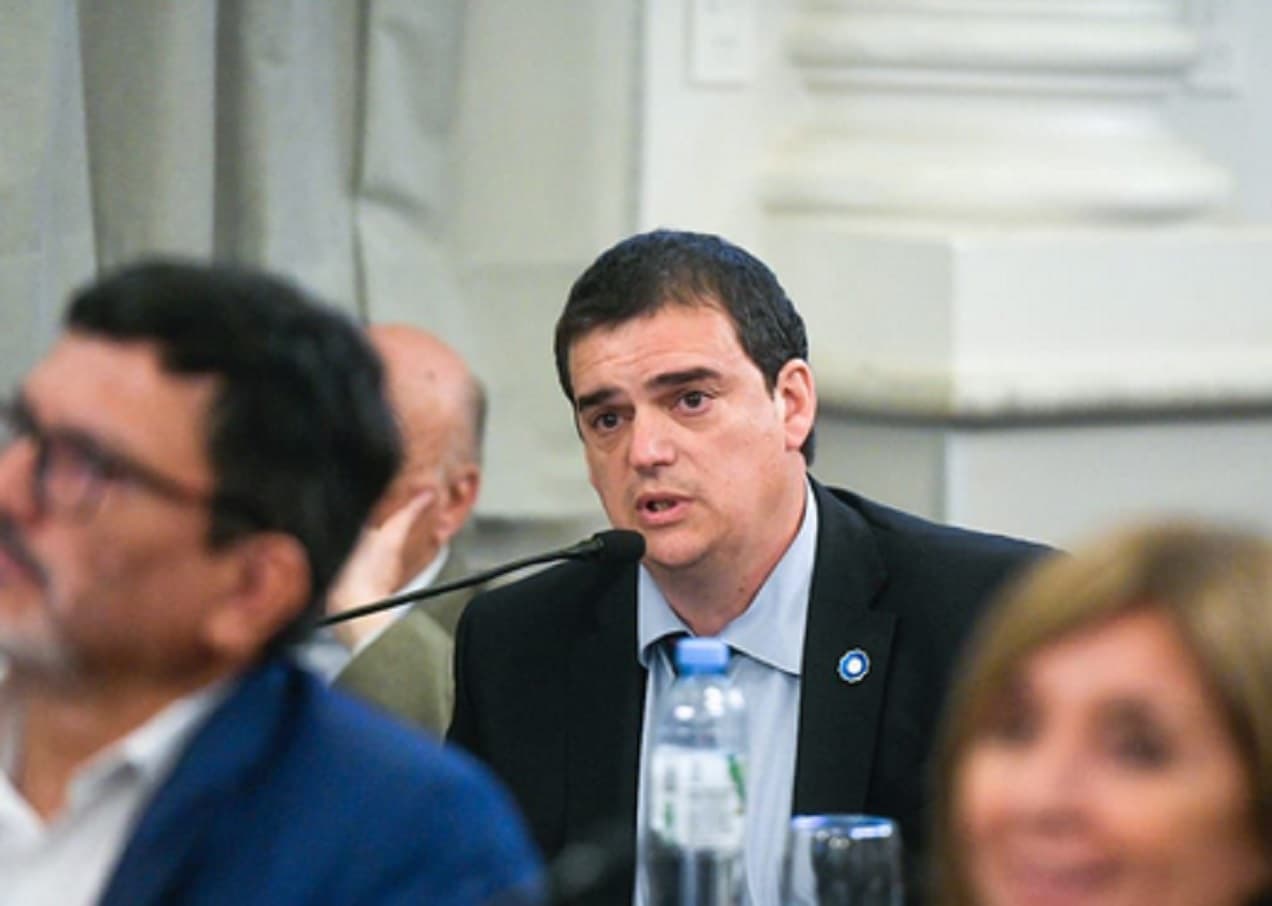 Cavagna: “Es una ley totalmente necesaria que mejora los estándares para participar y fortalece la democracia” - imagen de origen