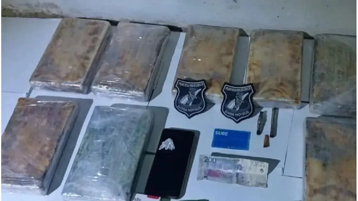 Santa Fe: un paranaense fue detenido con más de 11 kilos de cocaína en su vehículo - imagen de origen