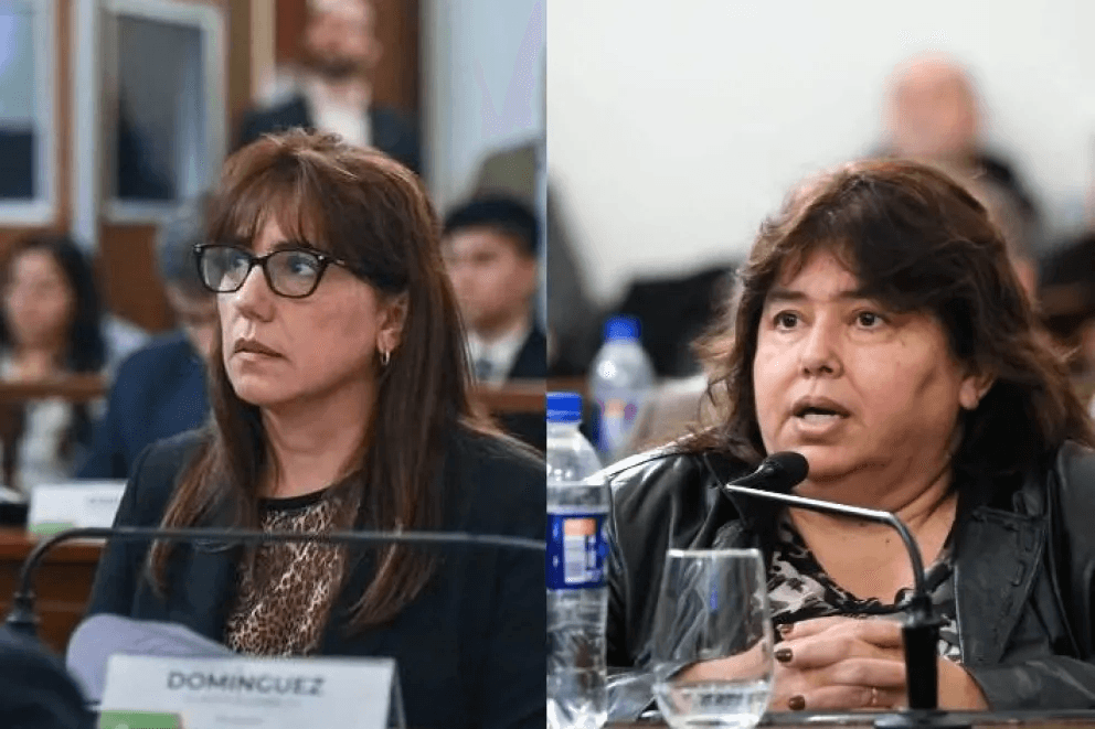 El PJ expulsó a las senadoras que votaron la reforma previsional - imagen de origen