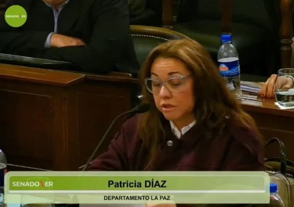 Tras la expulsión de su esposo Daniel Rossi del PJ, la senadora Patricia Díaz abandonó el bloque - imagen de origen