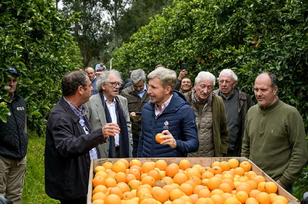 Frigerio recorrió plantaciones de cítricos en Concordia y destacó el potencial del sector para crecer y exportar - imagen de origen