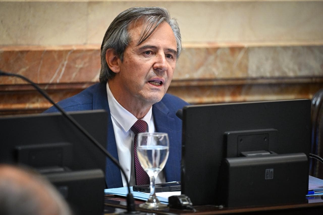 Para Bahl, la ley “despoja al Estado de herramientas” para la gestión pública - imagen de origen