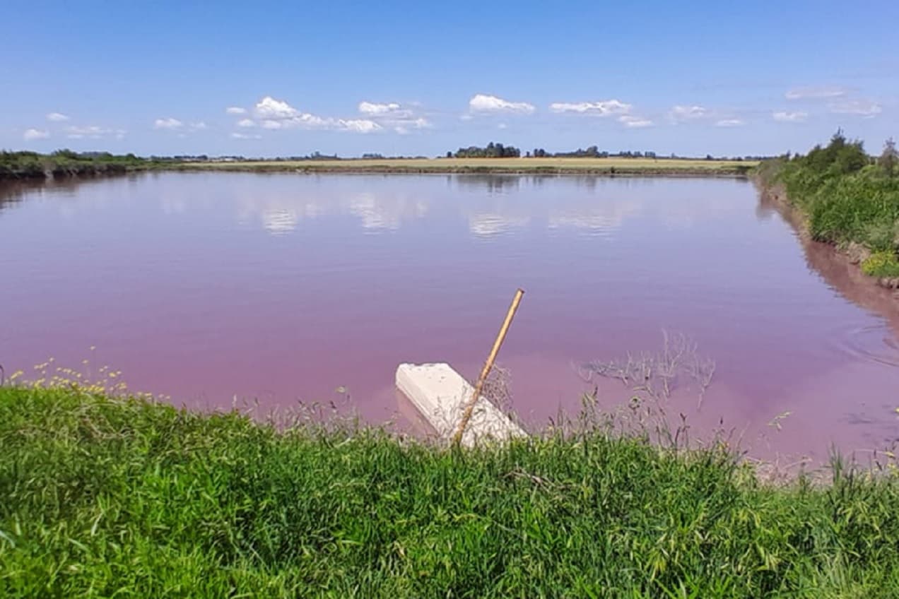 El gobierno provincial analiza el fenómeno de coloración en el arroyo Espinillo y refuerza la vigilancia ambiental en la cuenca - imagen de origen