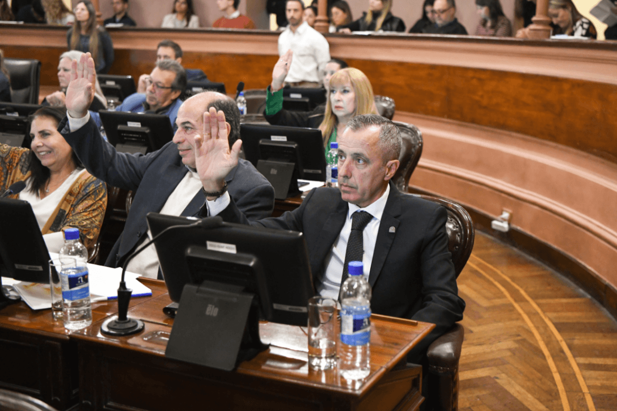 Maier pasó lista de las decisiones políticas que rompieron la Caja - imagen de origen