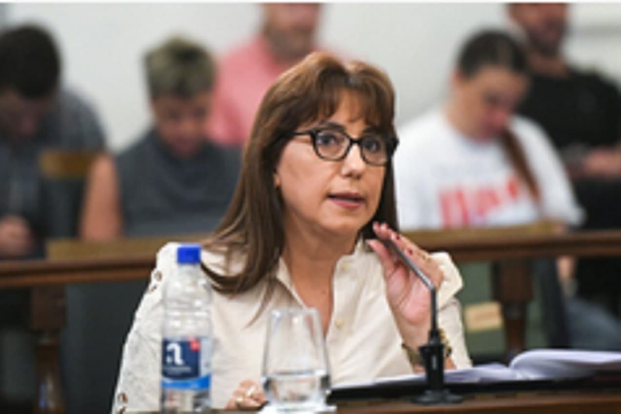 Domínguez: “Me expulsan por no obedecer ciegamente la orden de un grupo de dirigentes que nadie votó” - imagen de origen