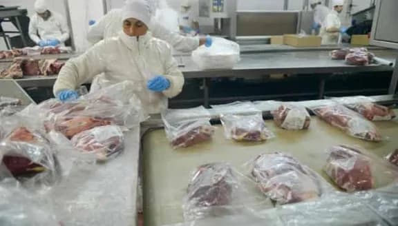 Desde Entre Ríos valoraron el acuerdo de exportación de carne a Japón - imagen de origen
