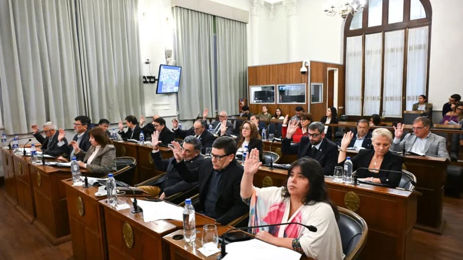 Ficha Limpia: el Senado entrerriano volvió a postergar una definición y a generar más decepción y oscuridad | Análisis - imagen de origen