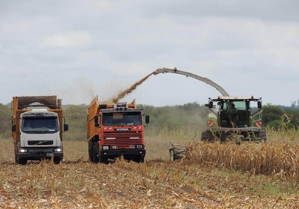La provincia puso en vigencia el nuevo régimen ambiental para la actividad productiva de Entre Ríos - imagen de origen