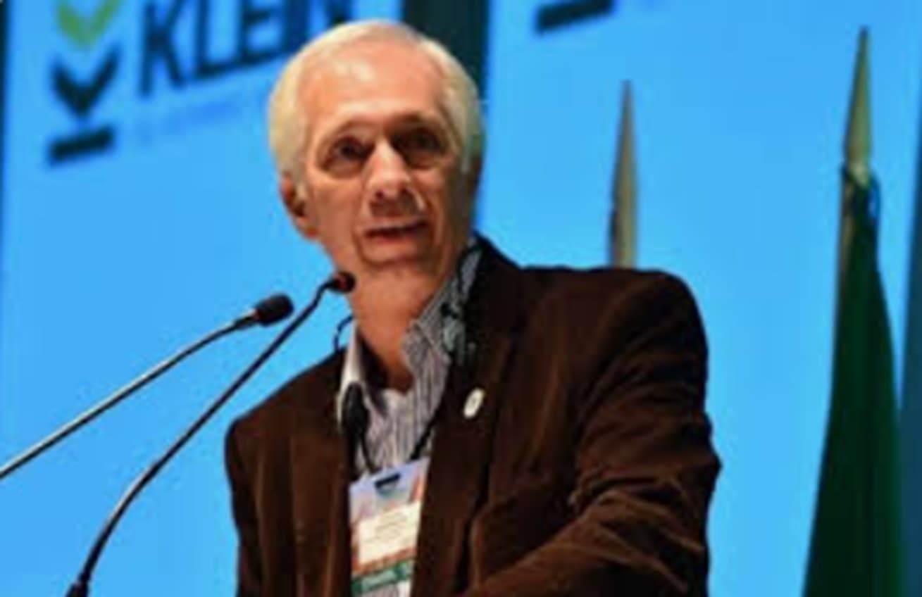 Bernaudo: “En lo que va de RINI que están empezando a invertir o en trámite son más de 260 millones de dólares” - imagen de origen
