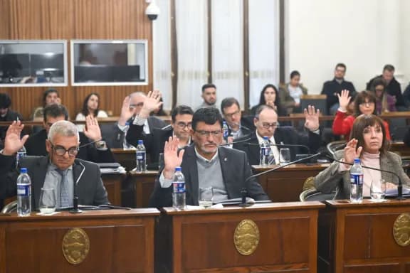 El Senado prestó acuerdo para los cargos de presidente y vocales del CGE - imagen de origen