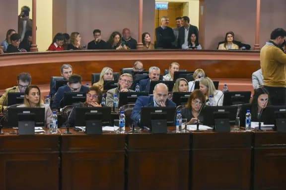 Diputadas y diputados peronistas rechazan las maniobras del gobierno para desacreditar el sistema de comedores escolares - imagen de origen