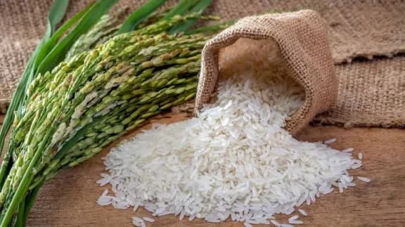 El gobierno provincial creó el sello “Arroz Entrerriano” para distinguir la producción provincial - imagen de origen