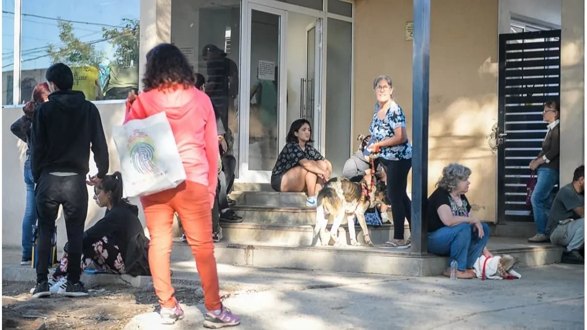 La Municipalidad de Paraná continúa con las castraciones - imagen de origen