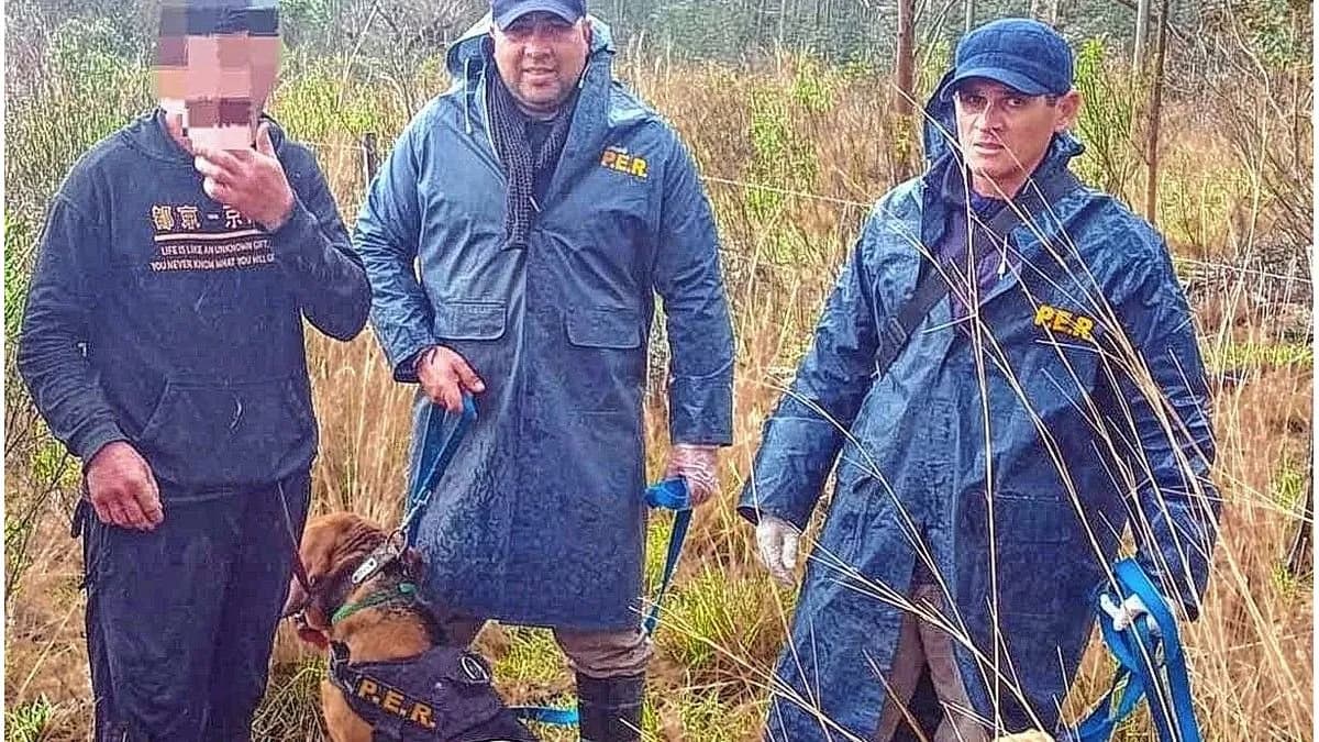 Los Charrúas: se perdió en el monte y fue hallado por canes de la policía - imagen de origen