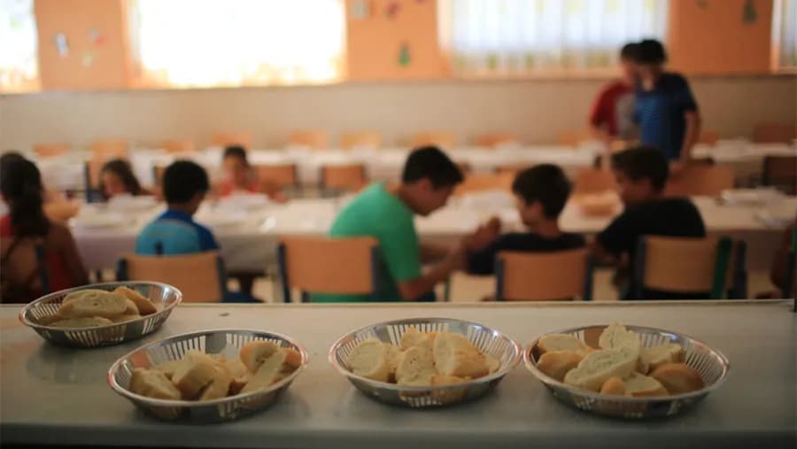 La Justicia rechazó el pedido de aclaratoria sobre el fallo de la alimentación escolar y concedió la apelación | Análisis - imagen de origen