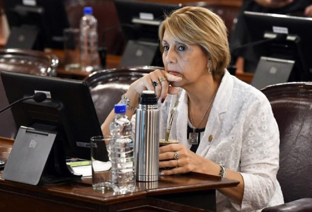 Salinas: “Me parece perfecto que sigan manteniendo su salario, pero que sea acorde al presupuesto de la Provincia” - imagen de origen