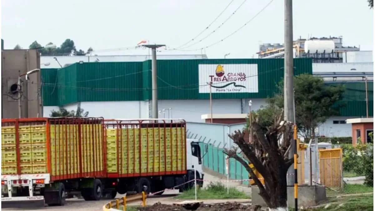 Tensión en Concepción del Uruguay: primera audiencia por el conflicto laboral en granja Tres Arroyos - imagen de origen