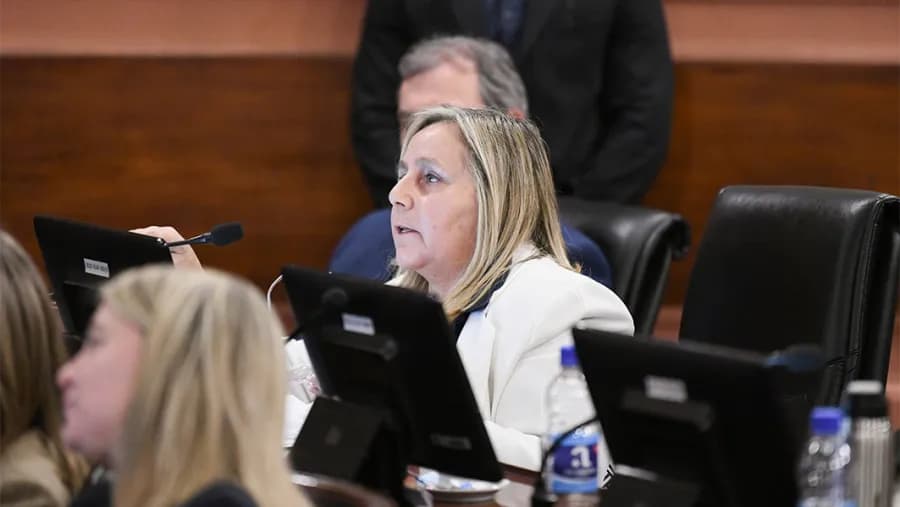Pesar por el fallecimiento de la diputada provincial Julia Esther Calleros Arrecous, oriunda de Gualeguaychú | Análisis - imagen de origen
