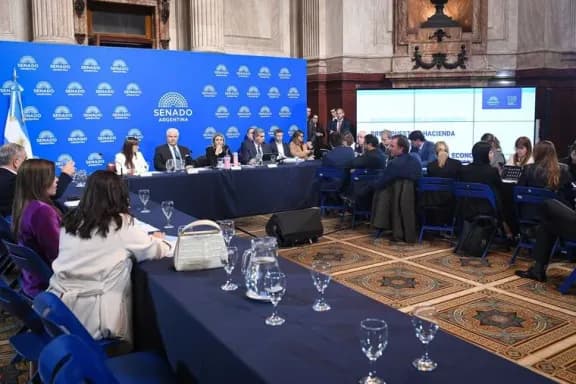 Se cayó el Súper RIGI en el Senado: el Gobierno no juntó las firmas necesarias y se traba el dictamen - imagen de origen