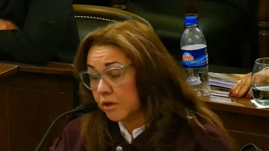 La senadora Patricia Díaz se fue del bloque Más para Entre Ríos y formó un monobloque afín a su esposo | Análisis - imagen de origen