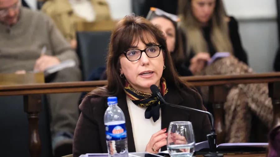 Domínguez formalizó su descargo ante el pedido de expulsión del PJ y advirtió que “disentir no es traicionar" | Análisis - imagen de origen