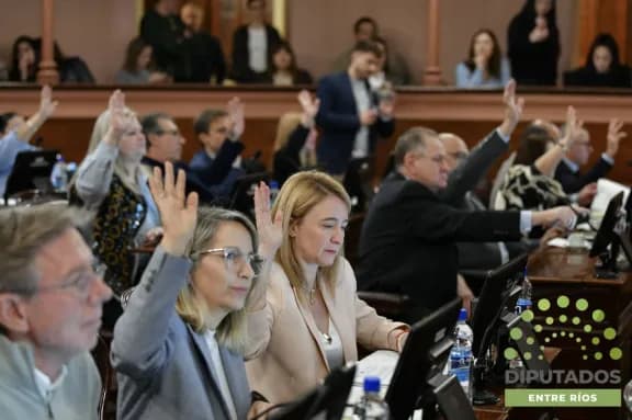 Pensiones vitalicias, Mecenazgo Deportivo y homenaje a Veteranos de Malvinas, entre las leyes sancionadas por Diputados - imagen de origen