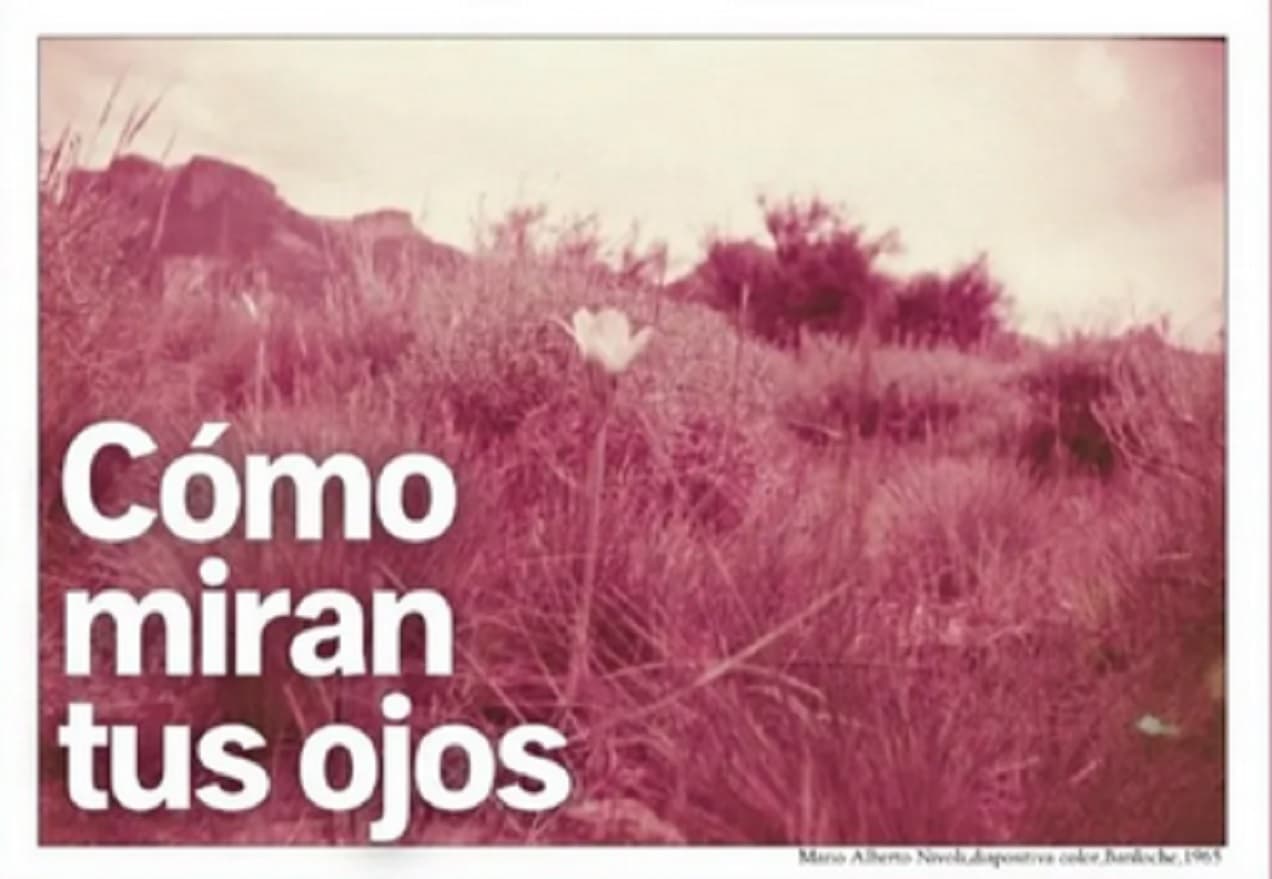 Nivoli: “La muestra es el resultado de esa búsqueda de mi papá de encuadre y enfoque del mundo” - imagen de origen