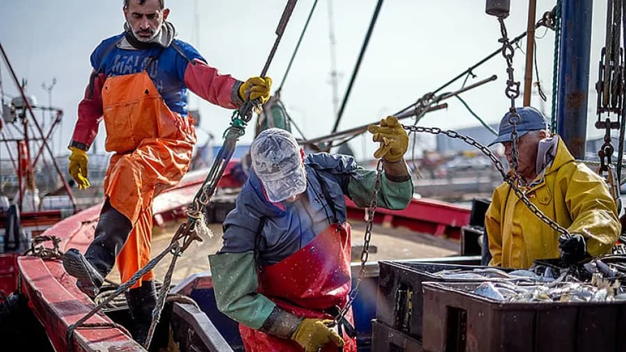 Desde que asumió Milei sólo tres sectores lograron crear empleo privado formal | Análisis - imagen de origen