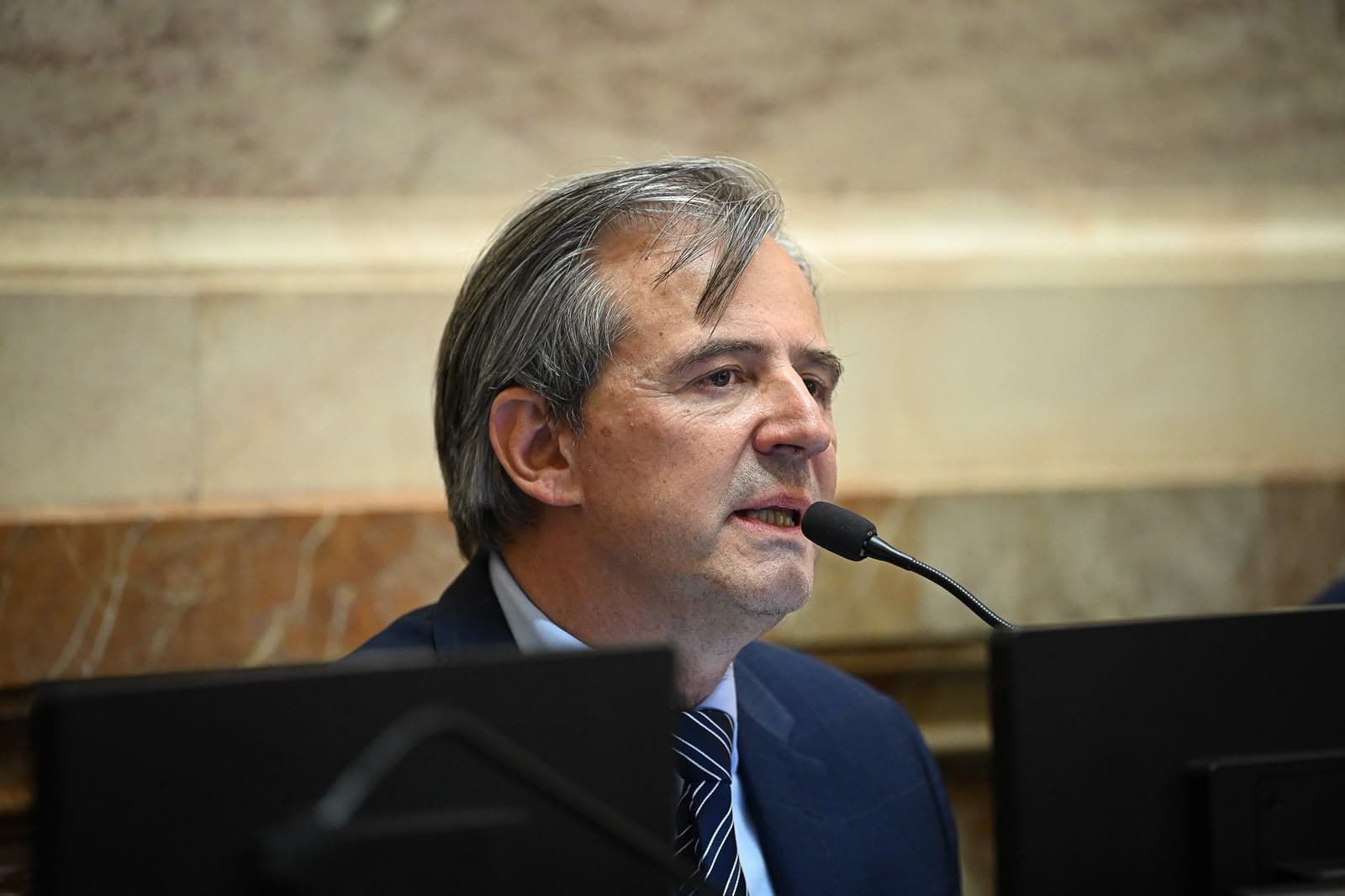 Bahl solicitó a los senadores que se avance con la Ley Colaprete - imagen de origen