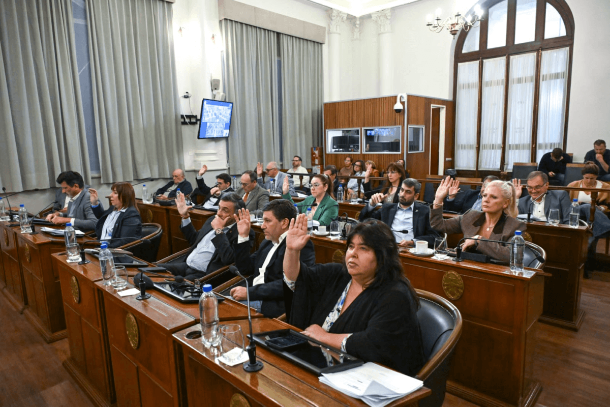 Ya es ley el alivio fiscal para pequeños comercios - imagen de origen