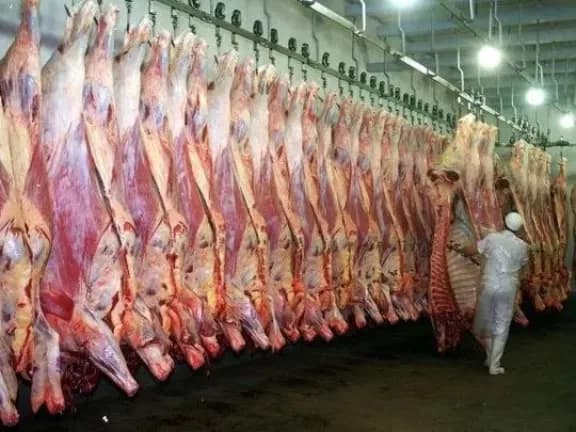 ATER aportará su mirada sobre dos proyectos que proponen considerar como industriales la actividad de matarife e incubación de huevos - imagen de origen