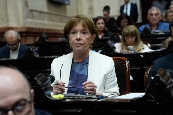 Diputada nacional por Entre Ríos cuestionó la falta de inversión en rutas provinciales - imagen de origen